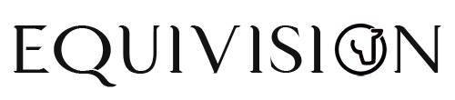 Equivision LLC Logo