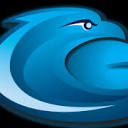 Falcon Internet Logo