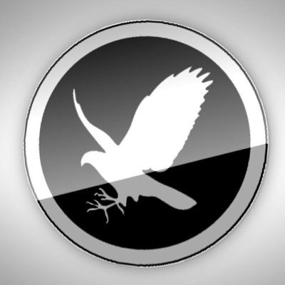 Falcontail Marketing & Design Logo