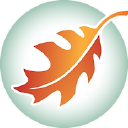 Falling Leaves Design Logo