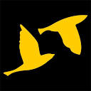 Flock Marketing Logo