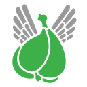Flying Fig creative studio Logo