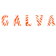 Galva Agency LLC Logo