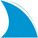 Blue Fin Digital Logo