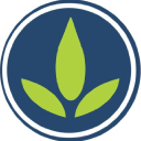 Studio Green Logo