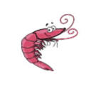 Happy Shrimp Marketing Logo