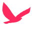 Hawk Design Co. Logo