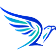Hawk's Design Logo