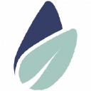 Magnolia & Co Media Group Logo