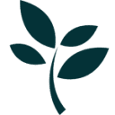 Sprout Marketing & Advising Logo
