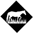 Hometown Horses Logo