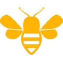 Honey Bee Buzz Modern Marketing Logo