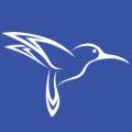Hummingbird Digital Solutions Logo