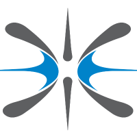 Insyntrix Logo