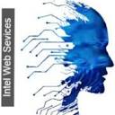 intelwebservice Logo