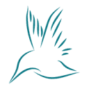 Kingfisher Content & SEO Wigan Logo