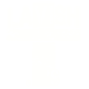 Lavish Designs LLC Logo