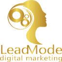 LeadMode Digital Marketing Logo