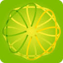 Lemon and Lime Digital Logo