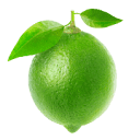LIME - Virtual Business Support Logo