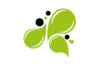Lime Design Studio Logo
