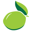 Lime Spring Studio Logo