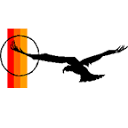 Lone Bird Studio LLC Logo