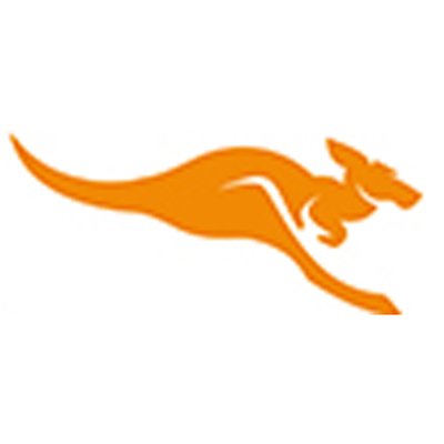 Marketing Kangaroo Logo