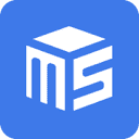 MS Web design & Development Logo