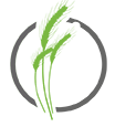 Meadows Interactive Logo