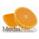 MediaFresh.co.uk logo