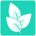 Mint Digital Marketing Logo