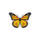 Monarch Creative logo
