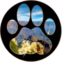 Mountain Cat Design, LLC Logo
