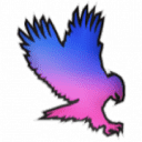 Event Hawk Logo