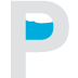 New Port Richey Web Design Logo
