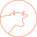 Orange Cattle Logo