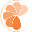 orange solution Logo