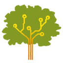 Orange Tree Digital Logo