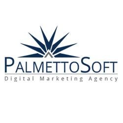 PalmettoSoft- A Charleston SEO Company Logo