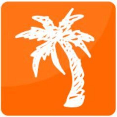 Palm Tree Branding & Web Design Logo