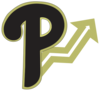 Panoptic Media Solutions, LLC Logo