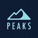 Peaks Digital Marketing - Denver SEO Logo