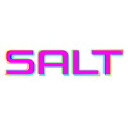 SALT: Video Production Agency Logo