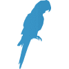 Picton Parrot Designs Logo