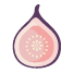 Pink Fig Creative Logo