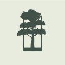 Pitch Pine Design Logo