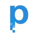 Pixel Perfection Logo