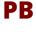 PlayBig Online Marketing Logo