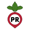 Pop Radish Logo
